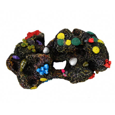 N1 Камень большой с цветными раковинами, 18х12х8,5 см – интернет-магазин Ле’Муррр