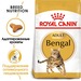 Royal Canin Bengal Сухой корм для взрослых кошек породы Бенгал – интернет-магазин Ле’Муррр