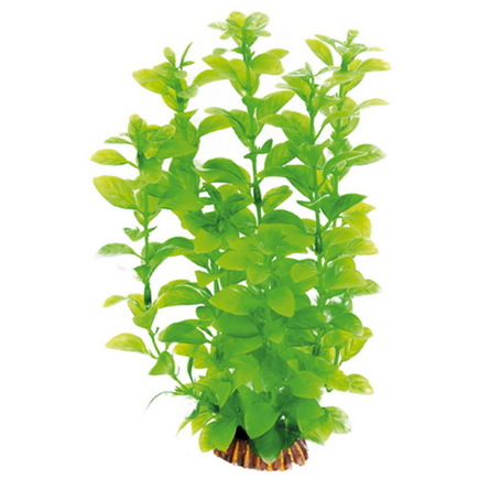DEZZIE Искусственное растение, пластик, 25 см – интернет-магазин Ле’Муррр